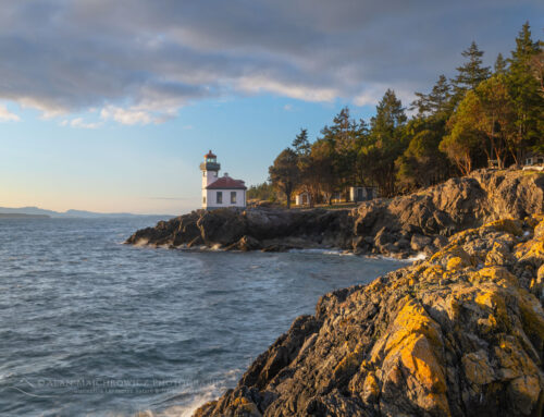 A Big Future for Tiny Homes in the San Juan Islands